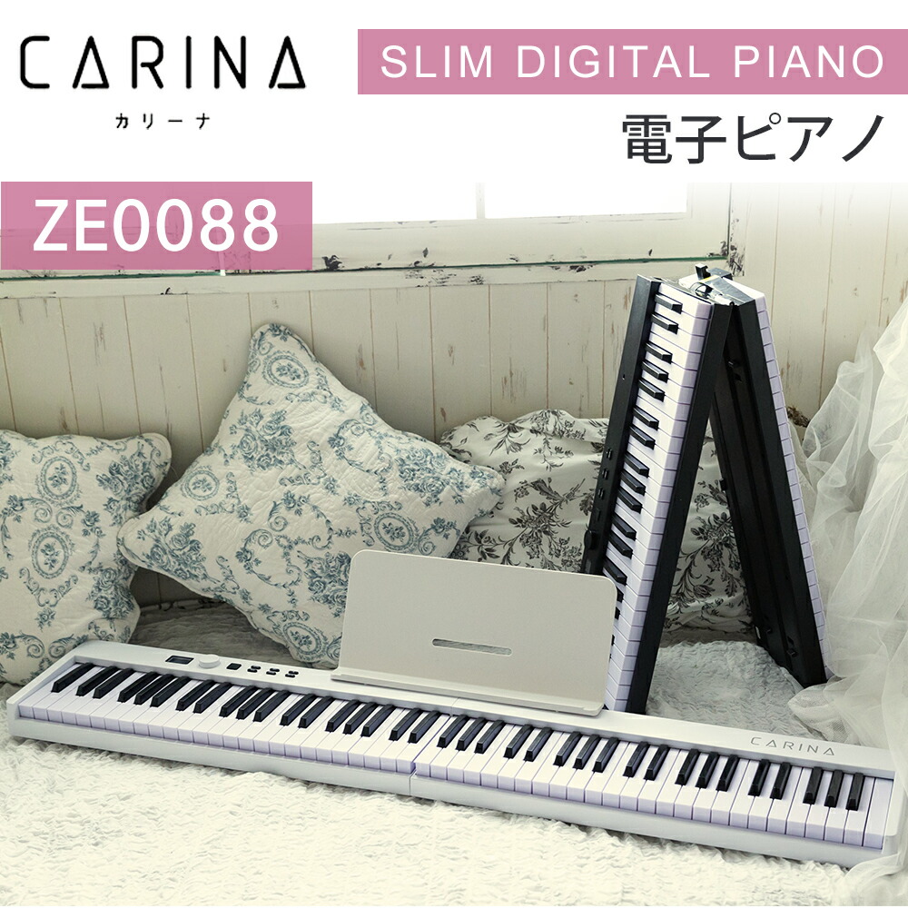 ze0088_02.jpg