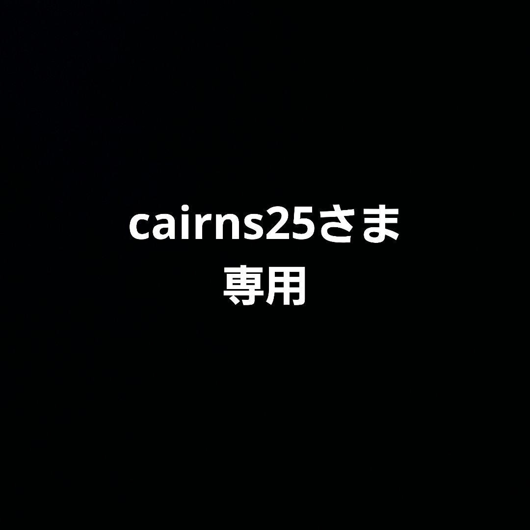 cairns25さま専用 2023- 2025・2026- ZX-25R/SE/RR【8BK-ZX250H】 SLIP-ON – ダブルアールズ